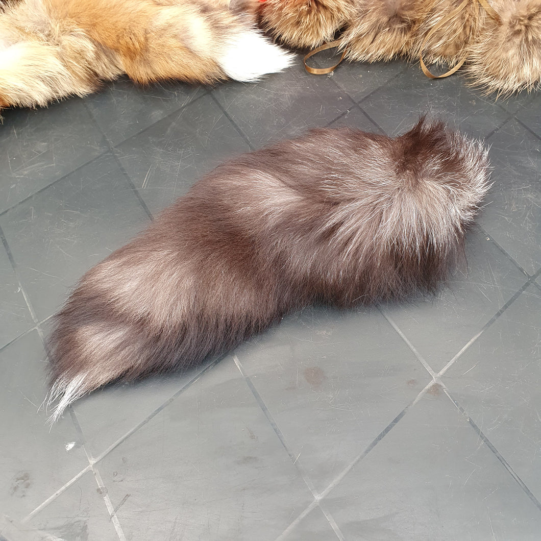 Tail