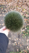 Load image into Gallery viewer, Green polar fox pompom.
